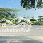 Hai lô liền kề đường vũ hữu, vĩnh hoà, nha trang - 184m2 ngang 8m - hướng nam - giá 55 triệu/m2