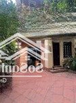 Cho thuê nhà riêng phố quan nhân, thanh xuân, dt 160m2, 3 tầng, giá 15tr
