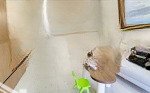 Nhà ba tháng tư, phường 3 tp đà lạt. 6,8 tỷ sổ hoàn công nhà đẹp có sân thượng, sân đậu oto