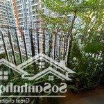 Chính chủ cho thuê lại căn 2pn safira, nhà decor, do đi nước ngoài nên cho thuê lại
