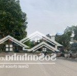 Cần bán gấp đất dãy d2 31ha trâu quỳ view sân trường học trâu quỳ, mặt tiền khủng 7m hiếm có