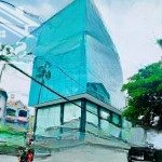 Cho thuê tòa văn phòng mt nguyễn huy tưởng 15m x 20m, hầm trệt 6 lầu trống suốt, pccc