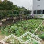 Hoa hậu xóm 2 chương dương thường tín - đường 3,5m ô tô tránh xe máy. dt vàng: 57.5m2 nở hậu