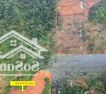 Bán 6000m2 tại đông xuân, quốc oai, view hồ cố đụng
