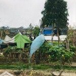 Cổ loa, đông anh, hà nội bán gấp đất 42m2 giá siêu hời 2,2 tỷ