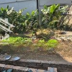 Bán đất lê xá - mai lâm - đông anh - hà nội. dt: 78m2. mt: 3.9m. hướng tây nam. đường rộng 2.2m