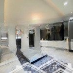 Cho thuê căn hộ 3pn the panorama phú mỹ hưng nội thất đẹp diện tích 145 m2. giá 55 triệu