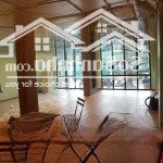 Chính chủ cần cho thuê nhà mặt phố trung hoà, vũ phạm hàm, vị trí đẹp, kinh doanh đỉnh