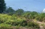 Bán đất nền đẹp tại nguyễn thị chơn, 1200m2, giá thỏa thuận, nhơn trạch, đồng nai