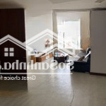 Chính chủ cần cho thuê căn giai việt full nội thất