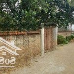 Hàng hiếm yên bài. 600m. 300m thổ cư. mặt tiền lên tới 32m. cách dt87 chỉ vài trăm mét. 0988908583