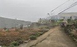 Bán đất hồng tiền cách mặt đường 261 100m