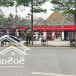 Bán gấp nhà mặt phố nguyễn khánh toàn 125 tỷ 200m2 mặt tiền 12m đang cho thuê cao