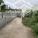 đất nhơn trạch xây bt vườn trên triền đồi khu trung tâm huyện gần sài gòn