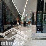 Chính chủ cho thuê biệt thự cao cấp tại pmh