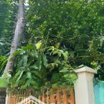 Bán đất chính chủ full thổ cư 100m2