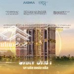 Chỉ cần booking - chắc chắn có căn - giỏ hàng trực tiếp cđt - mua đợt đầu chỉ với 160tr (10%)