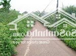 Cư bao, buôn hồ, đắk lắk, 400 triệu, 250 m2 đất thổ cư bán gấp chính chủ