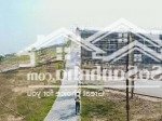 Bán đất tặng nhà cấp 4! tây tựu, sát đl tây thăng long: 250m2, mt 11m; giá rẻ như cho 101tr/m2