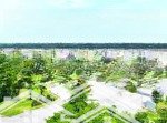 Bán căn góc biệt thự dt 200m2, giá cực chất 11,7 tỷ tại từ sơn, bắc ninh cách cầu vĩnh tuy 15 phút