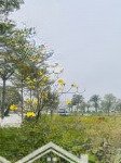 Bán cặp lk vườn hồng nam hồng từ sơn garden city! diện tích: 100m2/lô. mt 6m. giá đầu tư