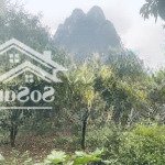 đất đẹp giá rẻ tại lương sơn, hòa bình