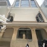 Bán nhà đất hồ tùng mậu bắc từ liêm 205m - 5 tầng thông sàn tích sản dòng tiền xây toà vp - ô tô
