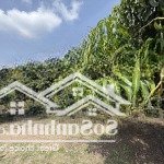 Vườn cây ăn trái view đồi tại đồng nai giá cực tốt chỉ 900tr sở hữu ngay cơ hội đầu tư sinh lời cao
