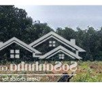 Bán lô đất 800m2 mặt đường quy hoạch 30m cực đẹp tại vân đồn, quảng ninh. đầu tư rất tiềm năng