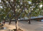 Chính chủ gửi bán lô đất mặt tiền đường trần nhân tông - dt 95m2, bớt lộc
