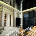 Bán 2 ngủ full nội thất đẹp như ảnh. sổ đỏ, giao dịch ngay tại vinhomes dcapitale