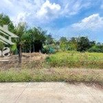 Bán đất tại xã mỹ lộc,cần giuộc, long an, 880 triệu, 120m2 bao đẹp giá tốt shr đg xe hơi