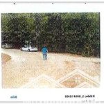 Công ty đấu giá hợp danh đông nam thông báo đấu giá tài sản đất xã tân lợi, đồng phú, bình phước