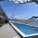 Tôi có máy mãnh đất biển hàm tiến đang cần bán. giá quá tốt
