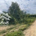 đất ngộp 1000m2 thanh sơn, huyện định quán chỉ 650 triệu sổ riêng đường 6m