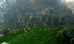 Bán đất quốc oai hà nội, 168m, ô tô chạy vòng quanh, 3 mặt tiền thoáng, địa thế đẹp nhất quốc oai
