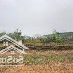 2248m2 full đất vườn phù hợp làm xưởng, giá chỉ hơn 2tr/m. mặt tiền gần 80m, thế đất bằng phẳng