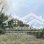 1 triệu/m2 đất lúa, 2500m2 xã nhơn đức, gần khu dân cư