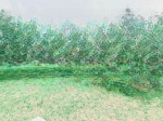 Bán đất tại thị trấn ba hàng đồi, lạc thủy, hòa bình, 650 nghìn / m2, 3900 m2 - hàng hiếm giá tốt