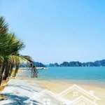 Bán đất biệt thự trên đồi đảo tuần châu dt từ 400 - 590 - 2.000m2 giá cam kết tốt nhất thị trường