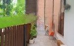 Bán căn hộ duplex tầng trệt 4pn 3wc 155m2 tại palm heights, 11,5 tỷ, q2, hcm