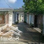 Chính chủ cần bán nhà cấp 4, sổ riêng 262m2 phường trảng dài - đồng nai