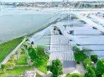 Nhà phố view sông bến du thuyền,thanh toán 30% nhận nhà cho thuê 30tr/tháng lh:0937568135