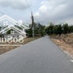Bán lô đất 5x30m sổ riêng có thổ cư hắc dịch, phú mỹ, bà rịa vũng tàu