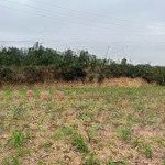 Siêu phẩm mới,mảnh đất ruộng tuyệt đẹp bámmặt đường tl414 tại minh quang,ba vì,hà nội.view sông đà