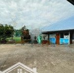 Bán đất nhà xưởng huyện vĩnh cữu, biên hoà, đồng nai.
