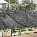 125m; mt7m; đất tđc giang biên, vị trí đẹp nhất, vỉa hè rộng, đường 13m: hơn 20 tỷ