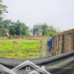 Hàng hot dt 620m2 tươi xanh trong đó có 400m2 thổ cư là hàng hiếm mặt tiền 18,7m nhé cả nhà