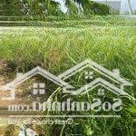 Bán đất vĩnh phú 41 vào 1 sẹc giá 3.3 tỷ