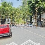Mặt phố trần quý kiên - trung tâm cầu giấy - vỉa hè đá bóng - kinh doanh tấp nập ngày đêm